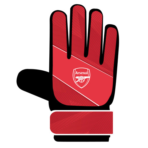 Team Merchandise Goalkeepers Gloves in Arsenal