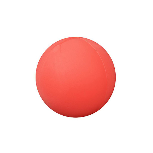 Uncoated Foam Ball in Red by Pre-Sport
