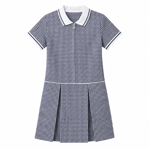 Girls navy gingham summer school dress with zip front, white collar and pleated skirt