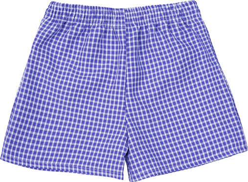 Gingham Under Shorts Purple