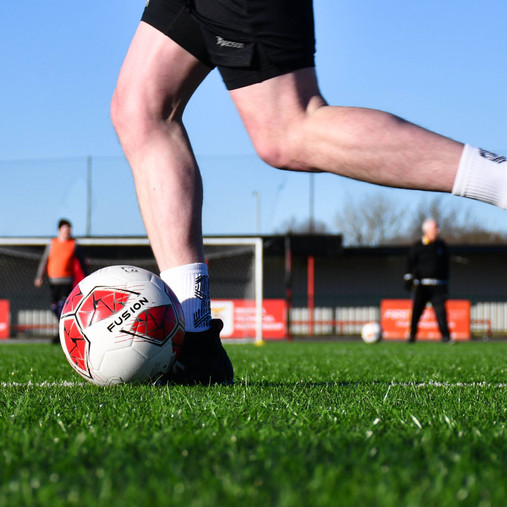 Precision Fusion IMS Training Ball