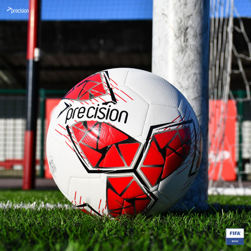 Precision Fusion IMS Training Ball