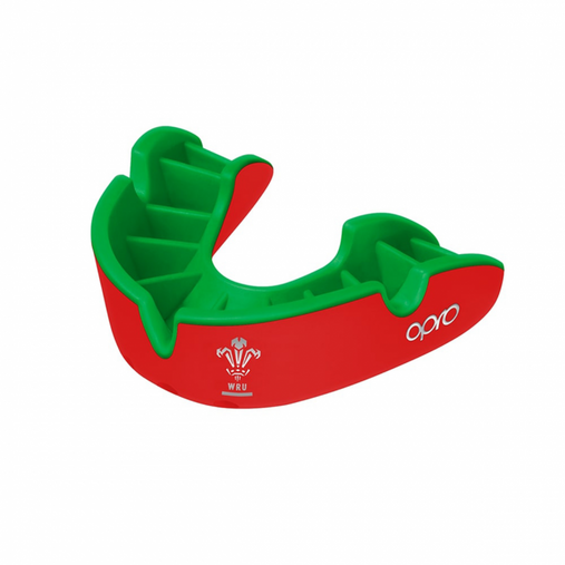 Silver Level Adult and Youth Sports Mouthguard With Case (Opro)