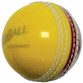 aero Trainer Cricket Ball (CT204) 