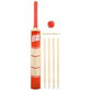 Powerplay 2020 Deluxe Size 5 Cricket Set (BG889)