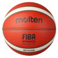  Molten 4500 Premium Composite Basketball (B6G4500) 