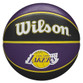 Wilson NBA Team Tribute Basketball (WTB1300XBGOL) 