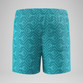 Speedo Print Volley 13 Inch