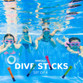 SwimTech Dive Sticks