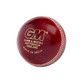 GM Clubman Cricket Ball