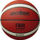 Molten 3800 Composite Basketball