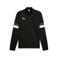 Puma teamRise 1/4 Zip Top