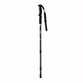 Six Peaks Rove Walking Pole (2 pcs)