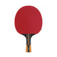 Dunlop Evolution 1000 TT Bat