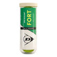 Dunlop Fort All Court Tennis Balls