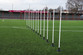 Precision Boundary Poles in White