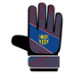 Team Merchandise Goalkeepers Gloves in Barcelona