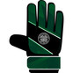 Team Merchandise Goalkeepers Gloves in Celtic