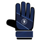 Team Merchandise Goalkeepers Gloves in Chelsea