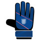 Team Merchandise Goalkeepers Gloves in England