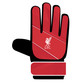 Team Merchandise Goalkeepers Gloves in Liverpool