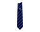 The Lammas School Tie