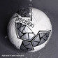 Precision Fusion IMS Training Ball