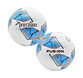 Precision Fusion IMS Training Ball