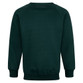 Boy & Girls Schoolwear Crew Neck Sweatshirt (Zeco) (SS3120) Forest