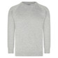 Boy & Girls Schoolwear Crew Neck Sweatshirt (Zeco) (SS3120) Light Grey