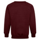 Boy & Girls Schoolwear Crew Neck Sweatshirt (Zeco) (SS3120) Maroon