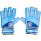 Team Merchandise Goalkeepers Gloves - Youth (CH07716)