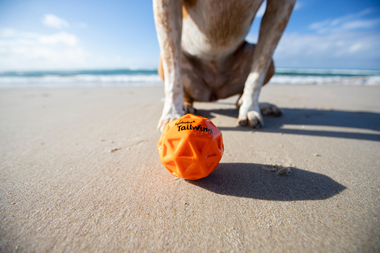 Waboba Tailwind Dog Ball
