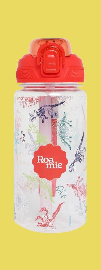 ROAMIE kids school water bottle in Dinosaur Skeletons