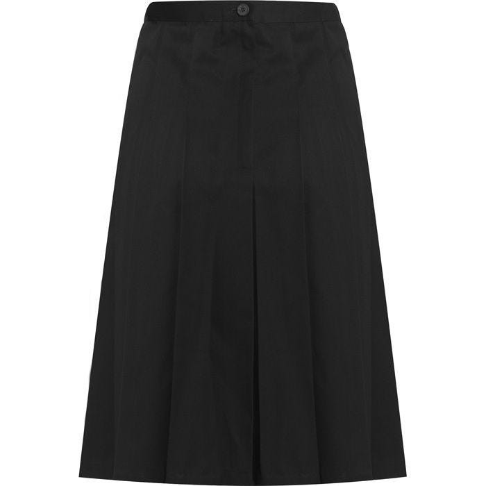 Aspire Pleated Skirt (Banner)