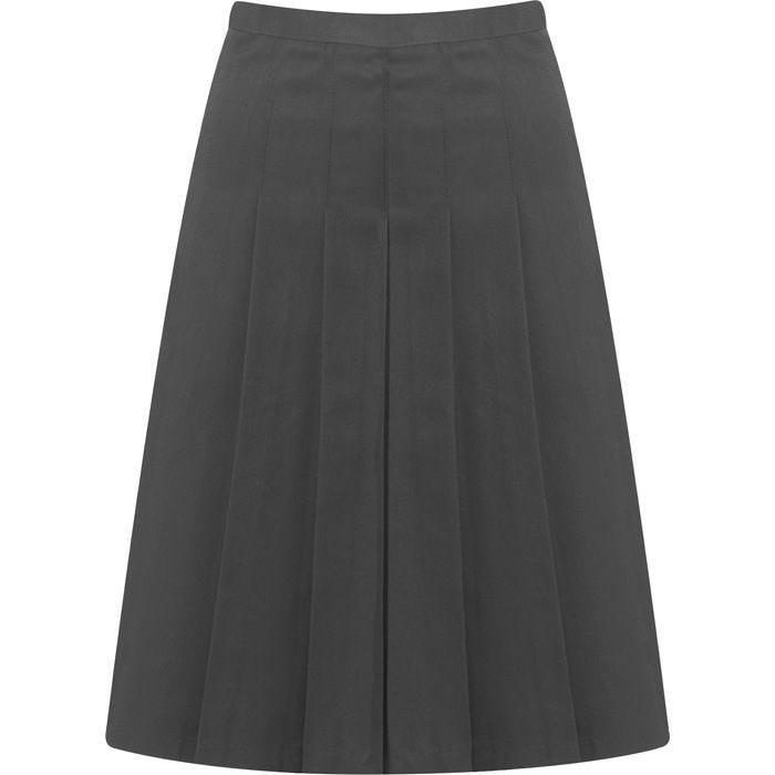 Aspire Pleated Skirt (Banner)