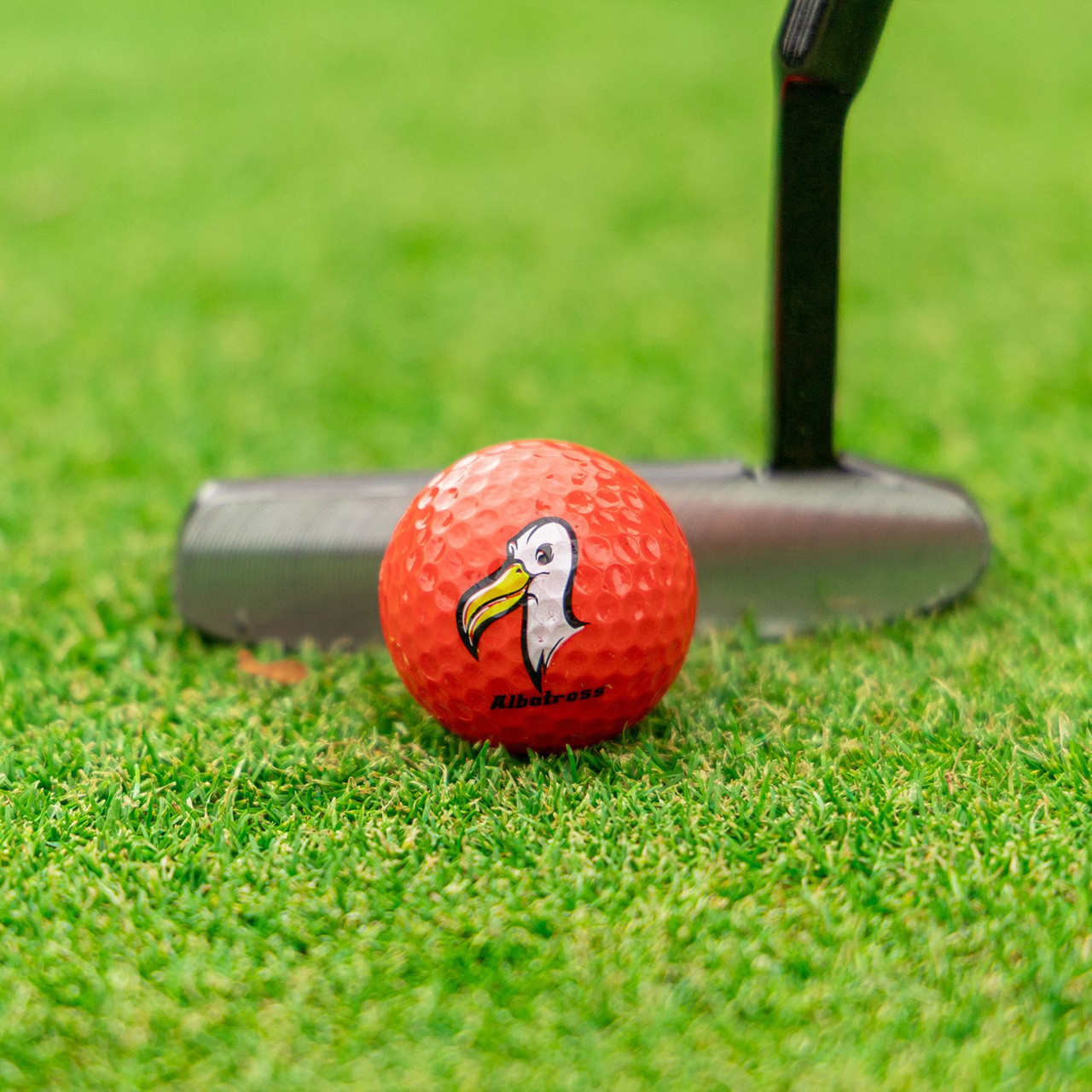 Longridge Under Par Balls 6Pk
