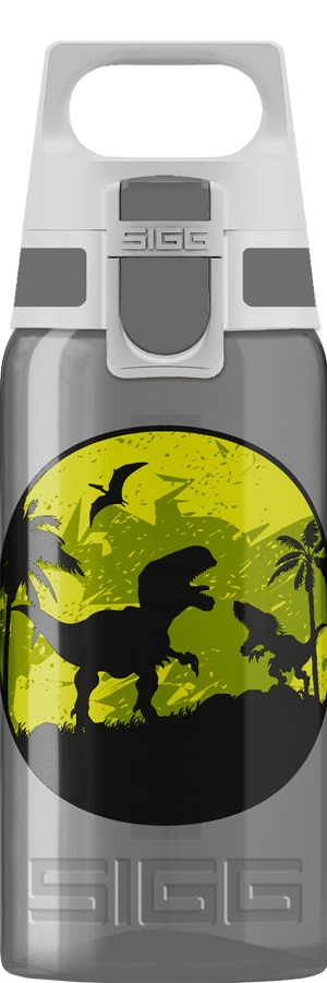 Sigg Viva One Children's Water Drinking Bottle