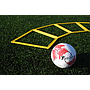 Precision Poly Grid System (set of 10)