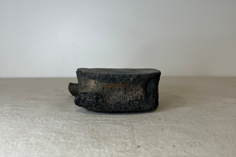 Small Whale Bone Vertebrae