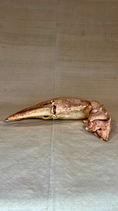 Vintage Pink Lobster Crusher Claw