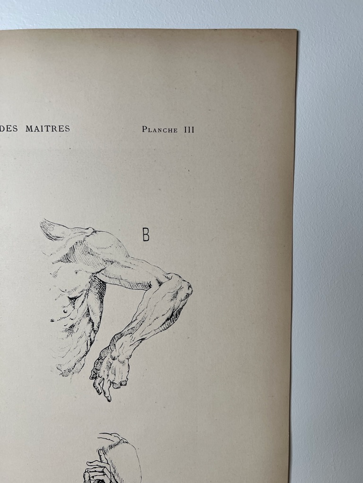 Vintage French Anatomy Print