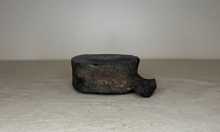Small Whale Bone Vertebrae