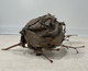 wasp hornet nest taxidermy insect