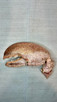 Vintage Pink Lobster Crusher Claw