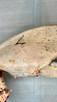 Vintage Pink Lobster Crusher Claw