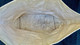 Vintage Canvas Bag w/ Hand Painted Blue Cherry Blossoms