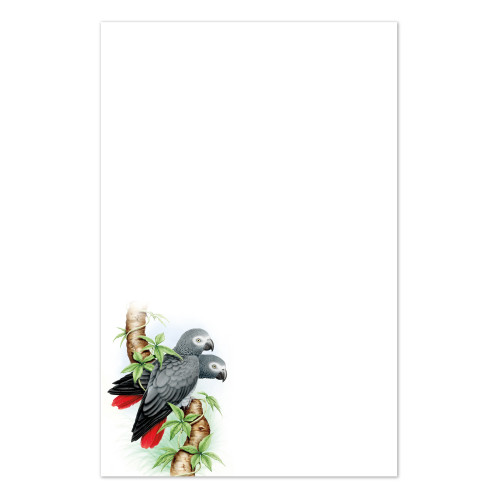 Illustrated Notepad african gray