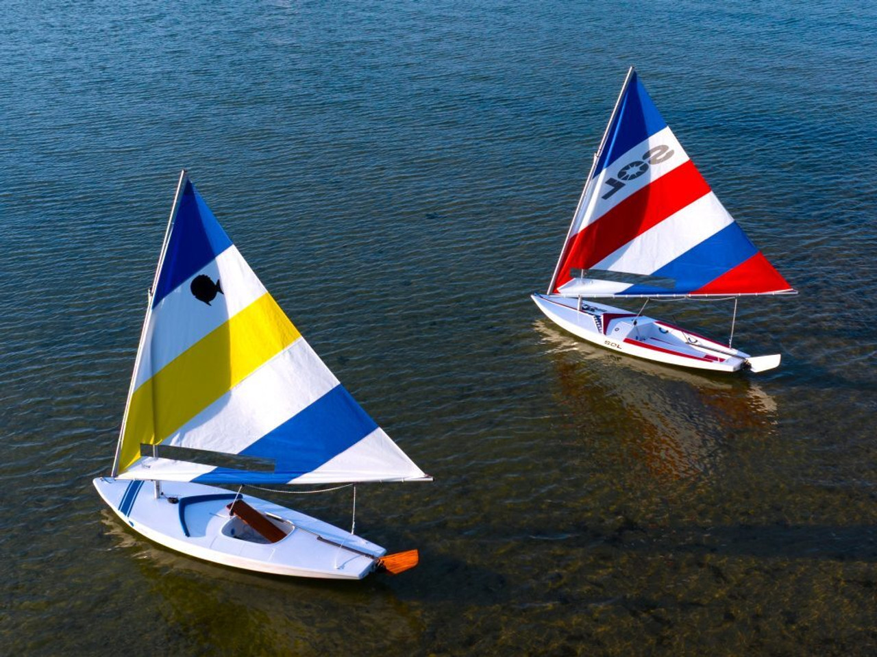 Sunfish Sunfish