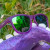 Goodr polarized sunglasses Goodr polarized sunglasses